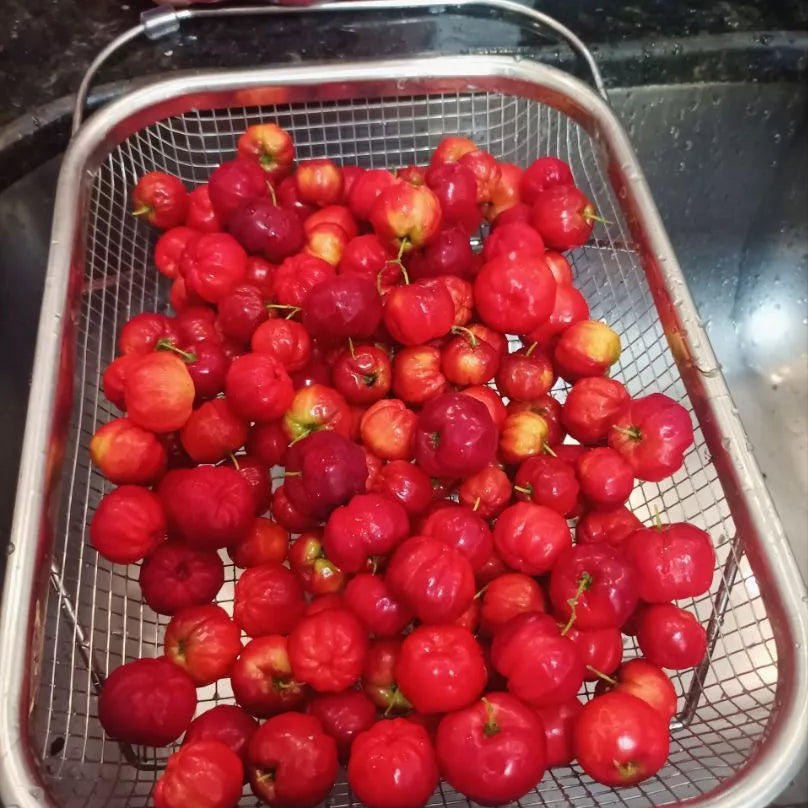 Escorredor SlimFlex– Praticidade e Estilo para sua Cozinha | Lar Equipado