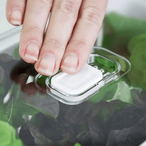 Organizador de Geladeira Clear Fresh com Cesto 2,2 Litros