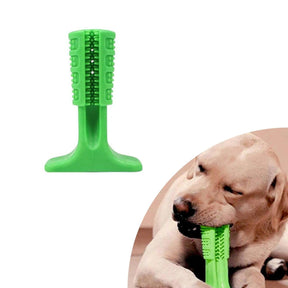 Mordedor Escova de Dentes para Cão