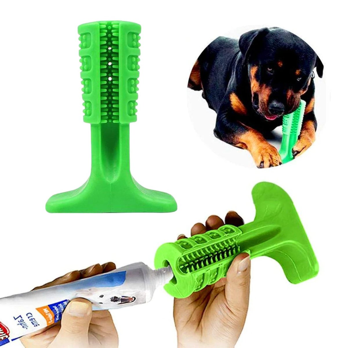 Mordedor Escova de Dentes para Cão