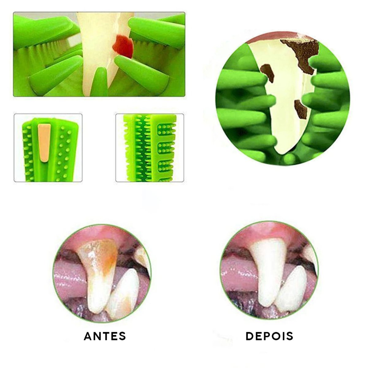 Mordedor Escova de Dentes para Cão