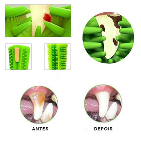Mordedor Escova de Dentes para Cão