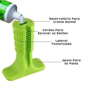 Mordedor Escova de Dentes para Cão