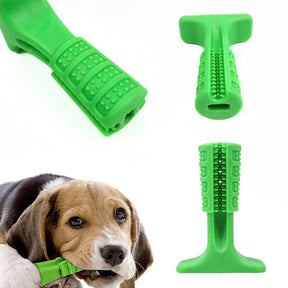 Mordedor Escova de Dentes para Cão