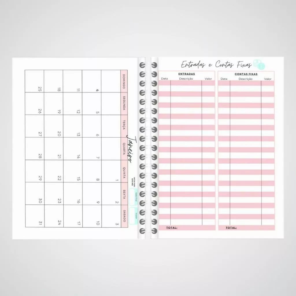 Planner Financeiro 2026 – Controle Total das Suas Contas