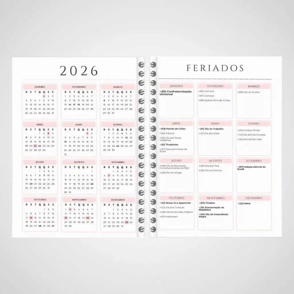 Planner Financeiro 2026 – Controle Total das Suas Contas