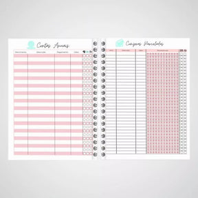 Planner Financeiro 2026 – Controle Total das Suas Contas